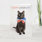 Happy Labour Day Patriottic Cat in Bow Stropdas Hu Feestdagen Kaart (Voorkant)