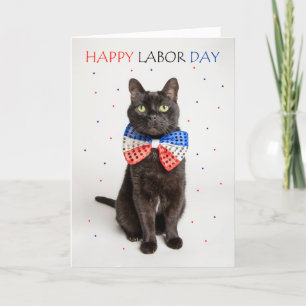 Happy Labour Day Patriottic Cat in Bow Stropdas Hu Feestdagen Kaart
