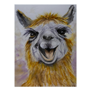 Happy Lama Perfect Poster
