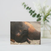 Happy Laughing Elephant Foto in Thailand Briefkaart (Staand voorkant)