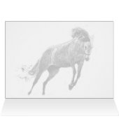 Happy Leaping Horse (Binnen Horizontaal (Boven))