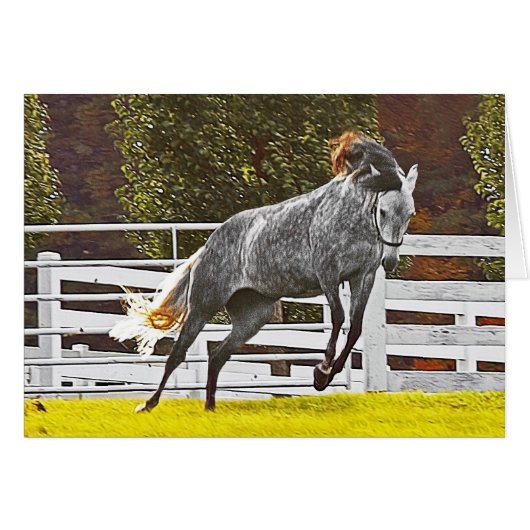 Happy Leaping Horse (Voorkant Horizontaal)
