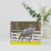 Happy Leaping Horse Briefkaart (Staand voorkant)