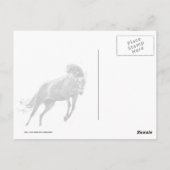 Happy Leaping Horse Briefkaart (Achterkant)
