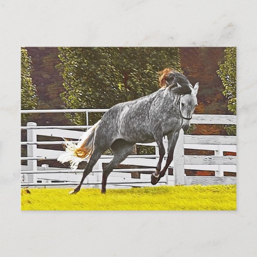 Happy Leaping Horse Briefkaart (Voorkant)