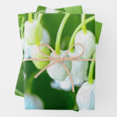 Happy Lily van het valleypatroon Inpakpapier Vel (In situ)