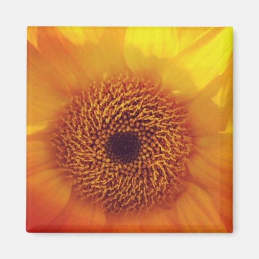 Happy Little Flower Magnet (Voorkant)