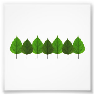 Happy Little Green Tree Leaf Forest Foto Afdruk