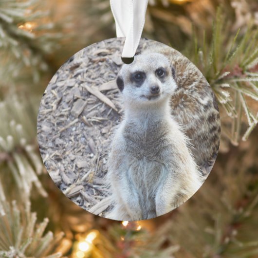 Happy Little Meerkat Ornament (Boom)