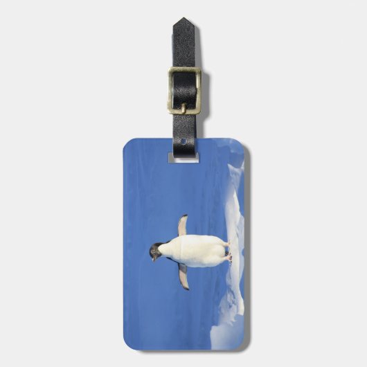 Happy Little Penguin Bagagelabel (Voorkant verticaal)