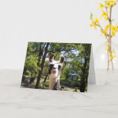 Happy Llama Kaart (Gele Bloem)