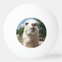 Happy Llama ping pongball
