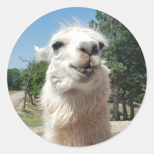 Happy Llama Ronde Sticker (Voorkant)