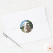 Happy Llama Ronde Sticker (Envelop)