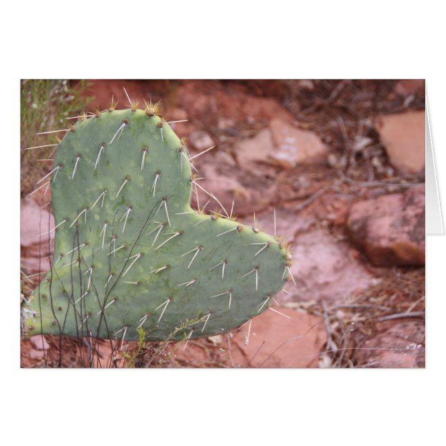 Happy Love (Voorkant Horizontaal)