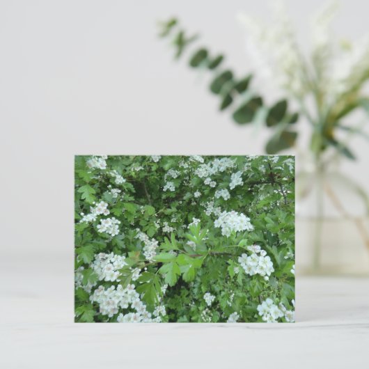 Happy May Day Briefkaart met Hawthorn Bloom (Staand voorkant)