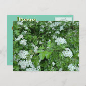 Happy May Day Briefkaart met Hawthorn Bloom (Voorkant / Achterkant)