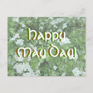 Happy May Day Briefkaart met Hawthorn Bloom
