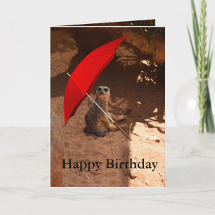 Happy Meerkat Birthday Wenskaart Kaart