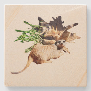Happy Meerkat met jongen, Stenen Onderzetter