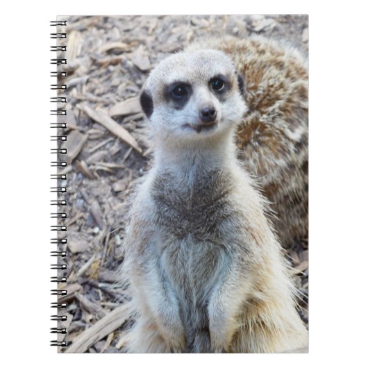 Happy Meerkat, Notitieboek (Voorkant)