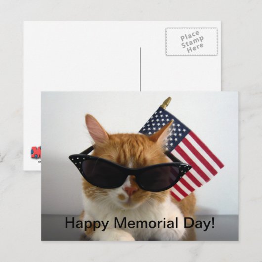 Happy Memorial Day Cool Cat met Briefkaart (Voorkant / Achterkant)