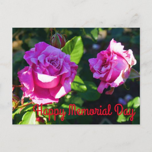 Happy Memorial Day - Memorial Day Roos #1 Briefkaa Briefkaart (Voorkant)