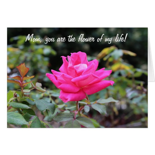 Happy moederdag (Voorkant Horizontaal)