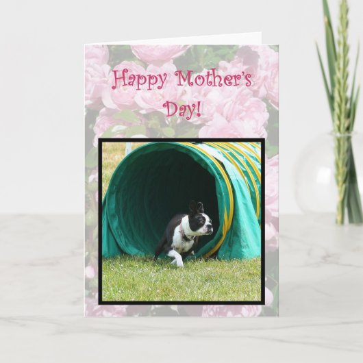 Happy Moederdag Agility Boston Terrier kaart (Voorkant)