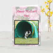 Happy Moederdag Agility Boston Terrier kaart (Gele Bloem)