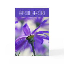 Happy Moederdag - Algemeen - Paarse Cineraria