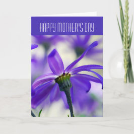 Happy Moederdag - Algemeen - Paarse Cineraria Kaart