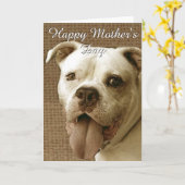 Happy Moederdag American bulldog wenskaart Kaart (Gele Bloem)