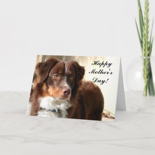 Happy Moederdag Aussie wenskaart Kaart (Voorkant)