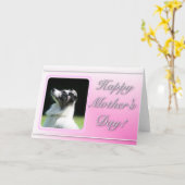 Happy Moederdag Australian Shepherd kaart (Gele Bloem)