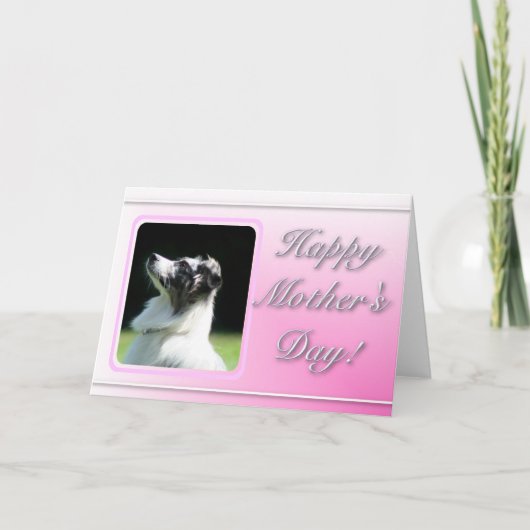 Happy Moederdag Australian Shepherd kaart (Voorkant)