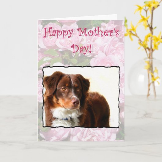 Happy Moederdag Australian Shepherd kaart (Gele Bloem)