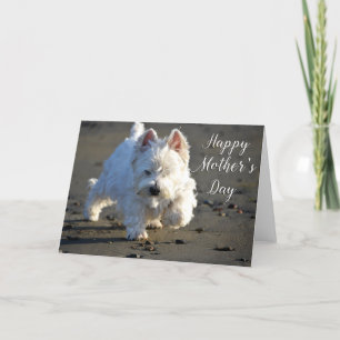 Happy Moederdag Beachcombing Westie-fotokaart Bedankkaart