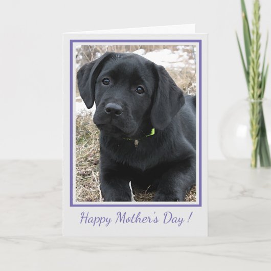 Happy Moederdag Black Labrador - Schattigee puppy  Bedankkaart (Voorkant)