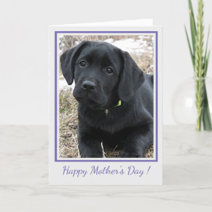Happy Moederdag Black Labrador - Schattigee puppy  Bedankkaart