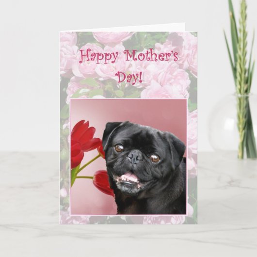 Happy Moederdag Black Pug wenskaart Kaart (Voorkant)