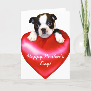 Happy Moederdag Boston Terrier Card Kaart