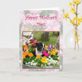 Happy Moederdag Boston Terrier wenskaart Kaart (Gele Bloem)