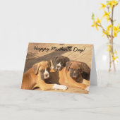 Happy Moederdag Boxer puppies wenskaart Kaart (Gele Bloem)