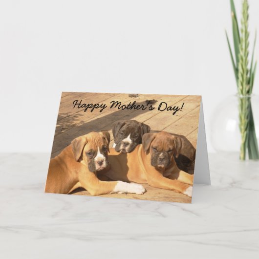 Happy Moederdag Boxer puppies wenskaart Kaart (Voorkant)