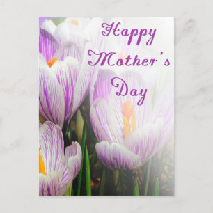 Happy Moederdag Bright Paarse en witte Tulips Briefkaart