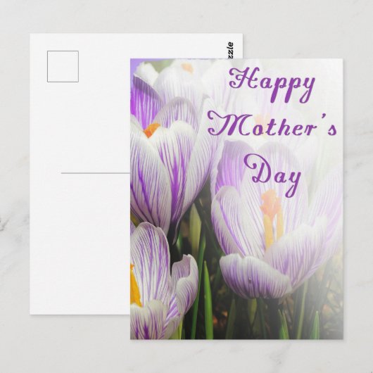 Happy Moederdag Bright Paarse en witte Tulips Briefkaart (Voorkant / Achterkant)