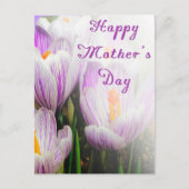 Happy Moederdag Bright Paarse en witte Tulips Briefkaart (Voorkant)