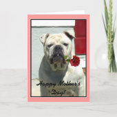Happy Moederdag bulldog wenskaart Kaart (Voorkant)