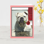 Happy Moederdag bulldog wenskaart Kaart (Gele Bloem)